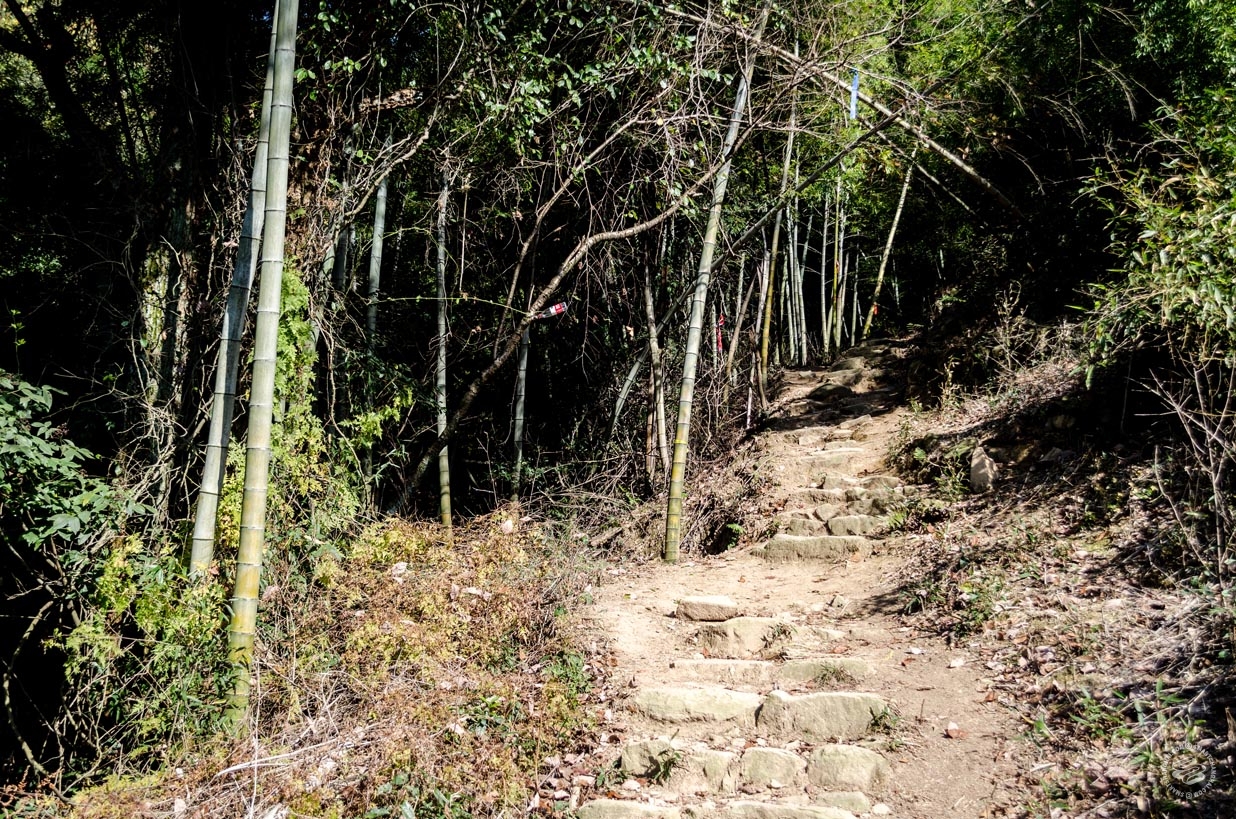 Shangqing