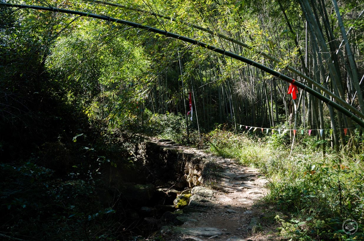 Shangqing